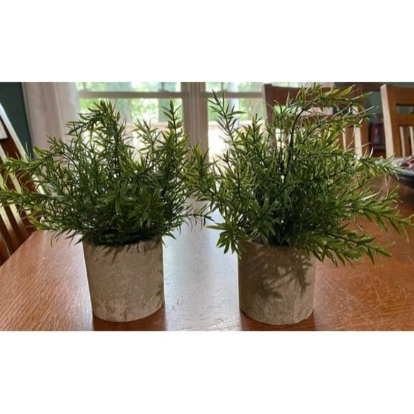 New 2 Pack Small Fake Plants Rosemary Potted Artificial Plants for Shelf Desk - Picture 1 of 1